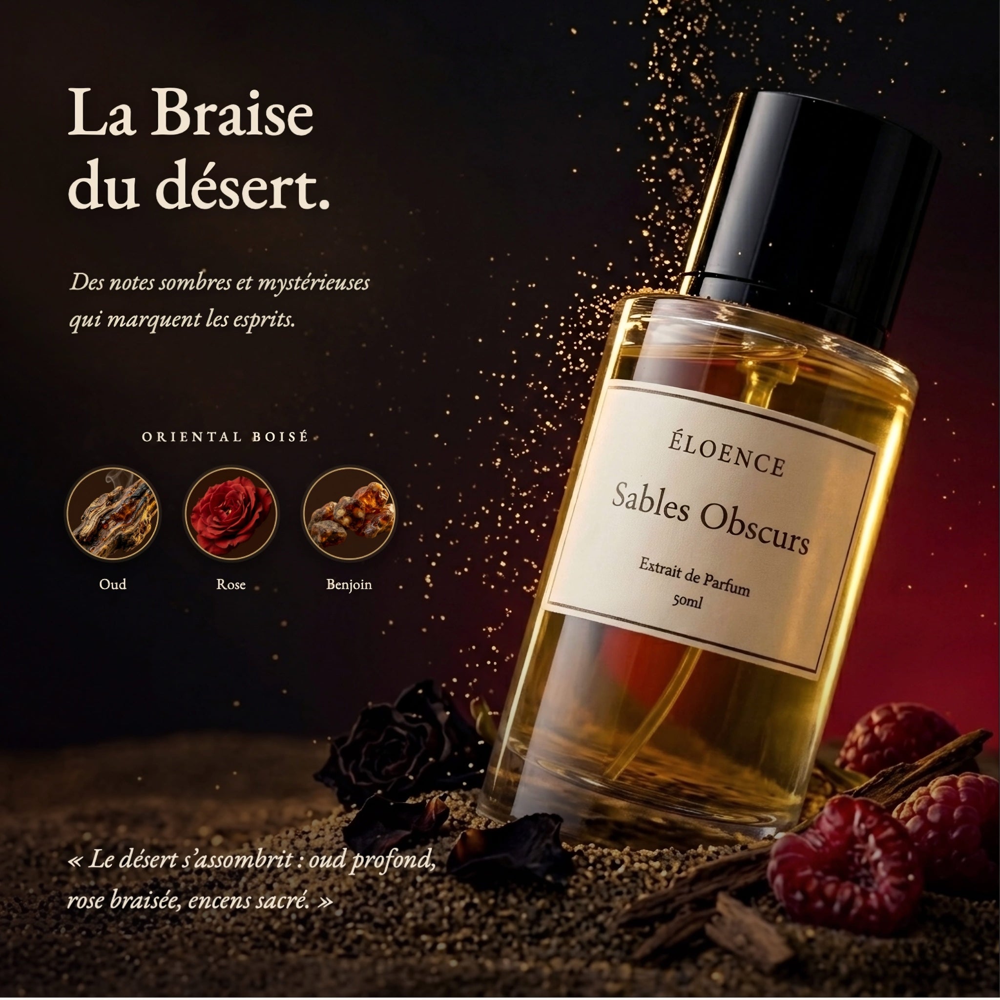 Sables Obscurs - La Présence Mystérieuse